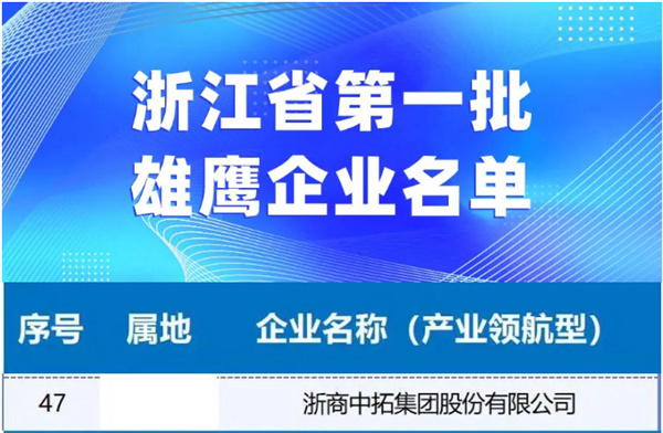 菠菜导航网入围浙江省第一批雄鹰企业名单