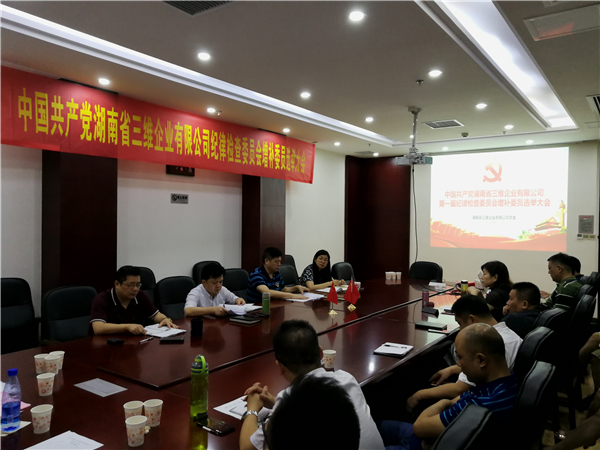 2018.7.23中国共产党湖南省三维企业有限公司纪律检查委员会增补委员选举大会照片（黄春红摄影） (25).jpg